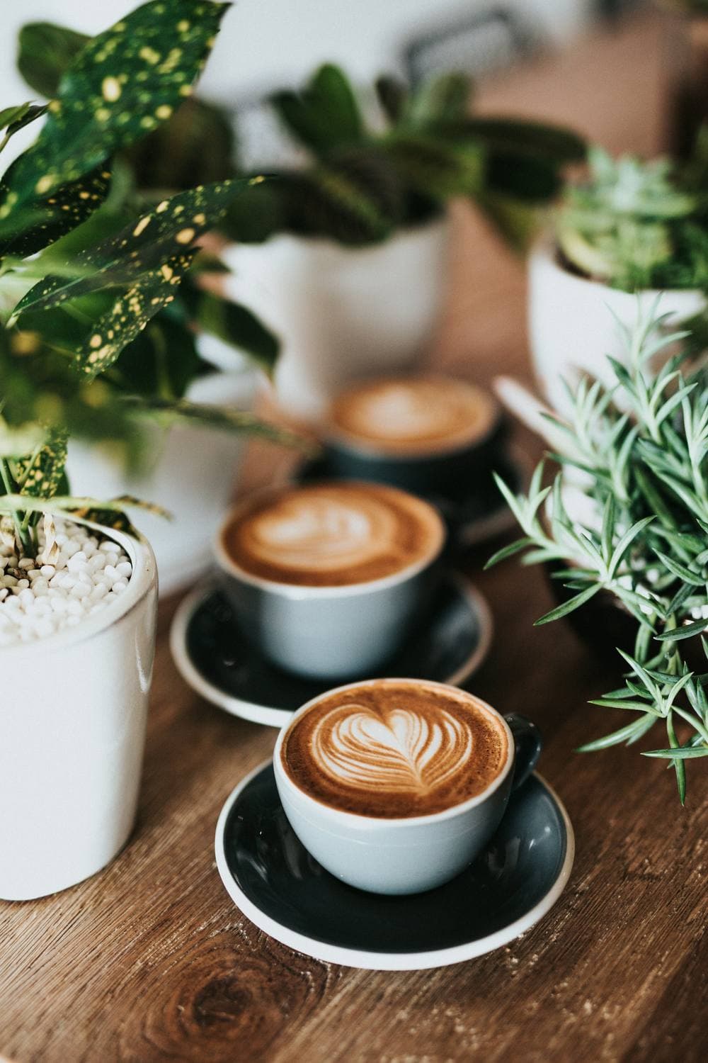 Three cups of coffee with latte art on a wooden table